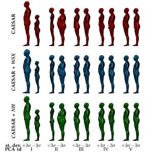 MPII Human Shape 人体模型数据