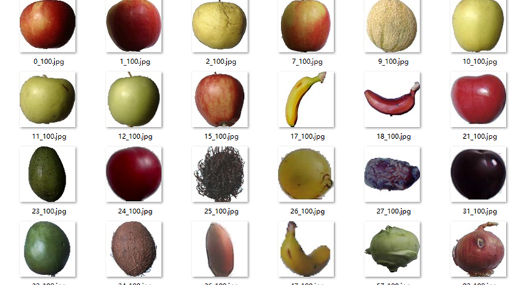 ​Fruits 360 水果蔬菜数据集