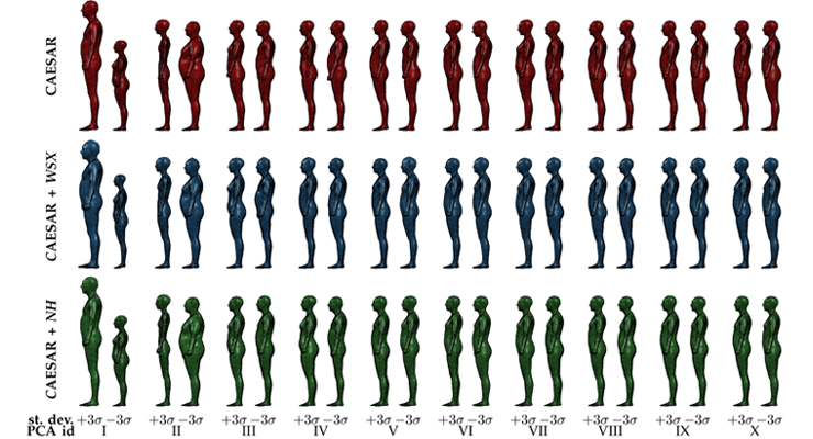MPII Human Shape 人体模型数据