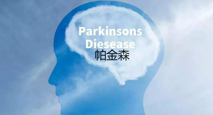 PAMAP2 体力活动监测数据集