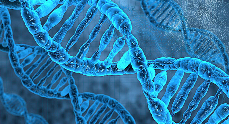 CUTG数据库 不同生物样本的基因组编码DNA中的密码子使用频率数据