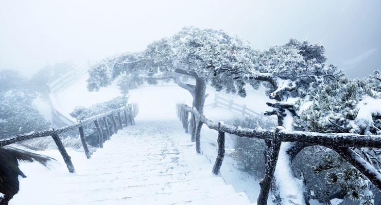 冷冻治疗数据集