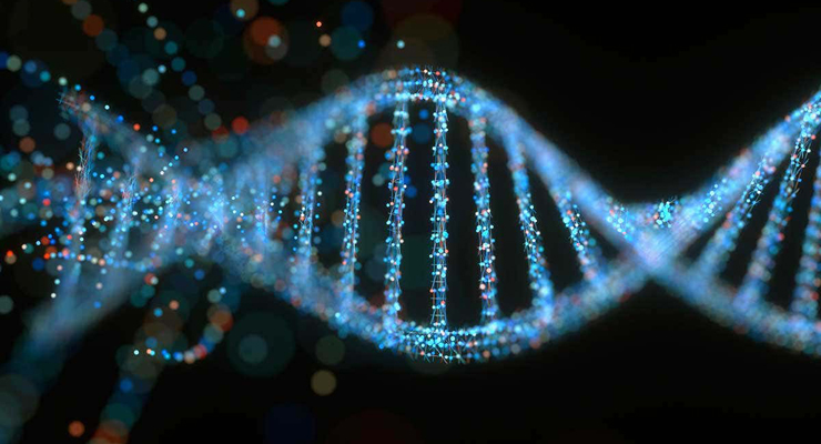 分子生物学（启动子基因序列）数据集，可用于评估一种混合学习算法（KBANN）