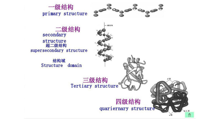 蛋白质三级结构数据集的物理化学性质