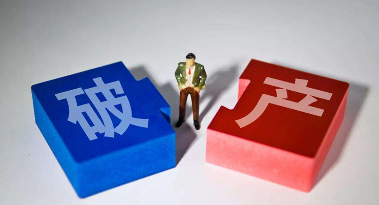 定性破产数据集 250个实例