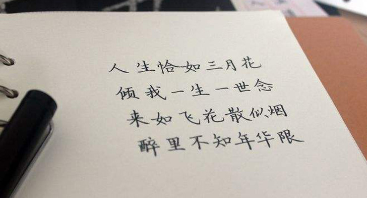 句子分类数据集