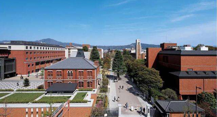 大学基础信息数据集