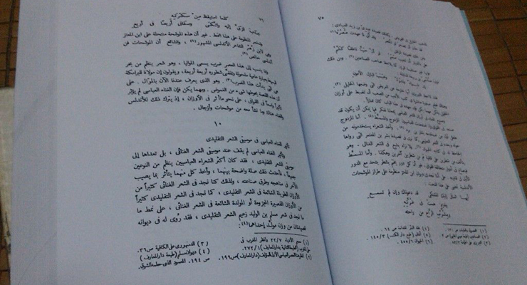 Jamalon 阿拉伯语书籍数据集