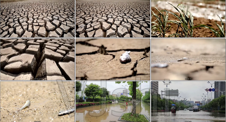7种气象灾害数据集，数据集包含7种极端天气状况图片