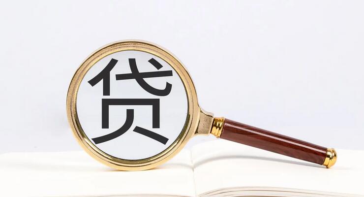loanData 信贷数据集，包括分期付款等数据