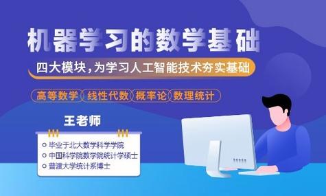 2008年至2019年IPL积分表数据集