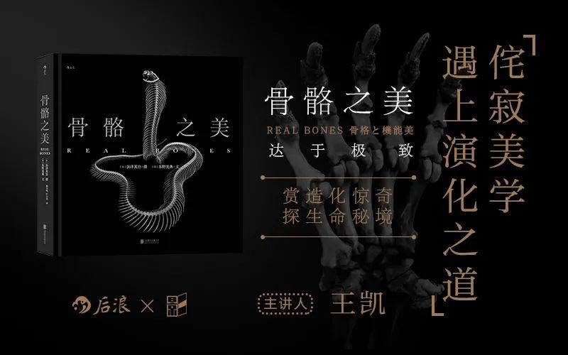 ntu rgb 60类骨骼分类数据