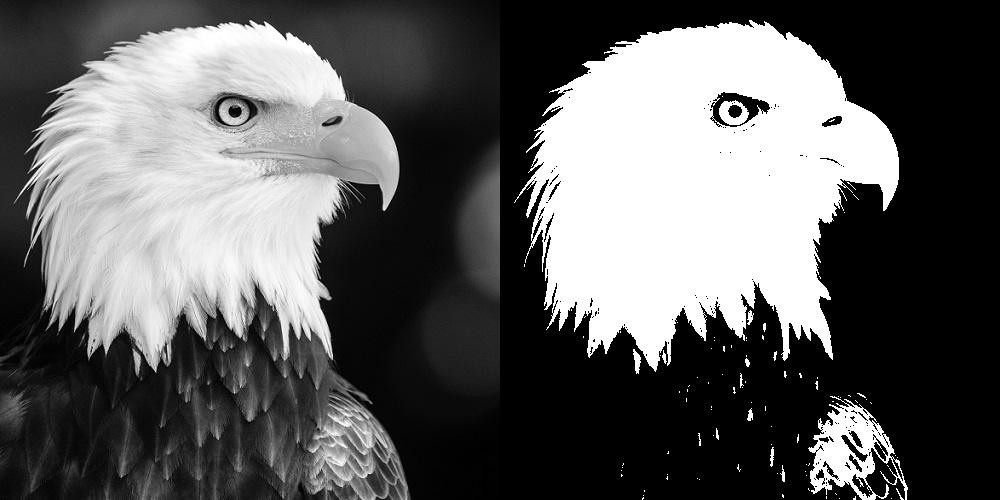 paddleSeg-release图像分割数据集