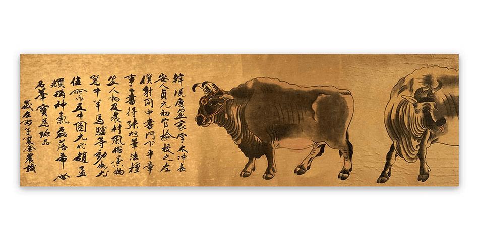 牛体姿态数据集