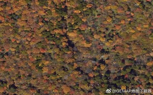 卫星地图数据2