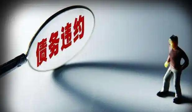 车辆贷款违约预测数据集2