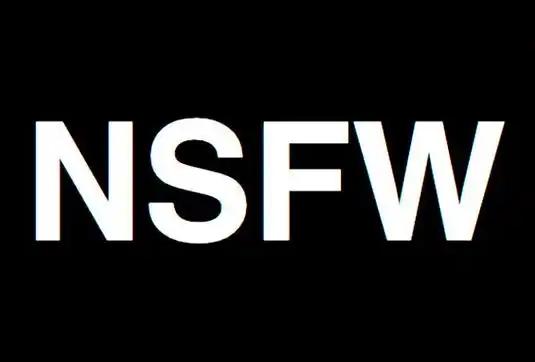 nsfw模型，用于图像生成数据集