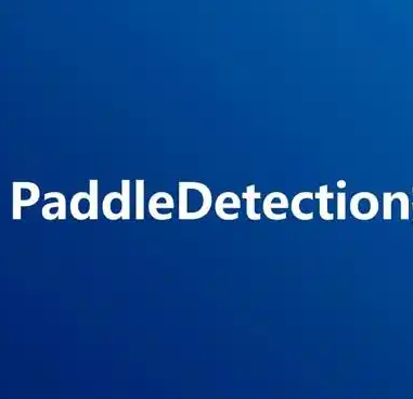 paddledetection数据集9