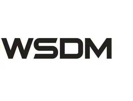 WSDM2023_ckpts数据集