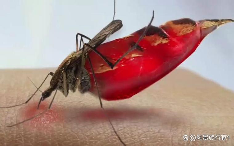 AI识虫检测数据集