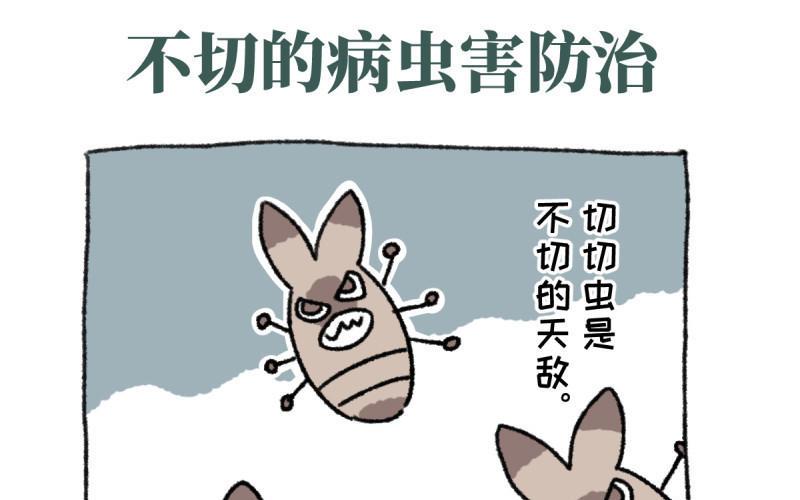 7种病虫检测数据集