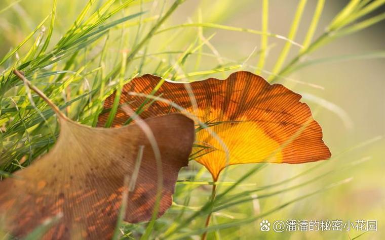 虫子数据