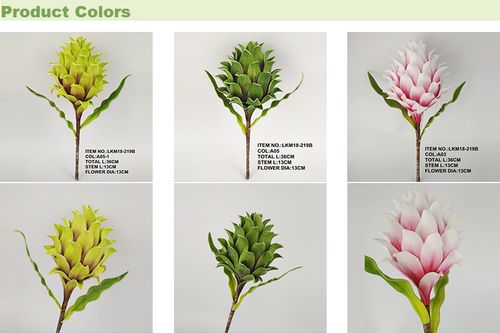 Flower102多文件夹版本数据集