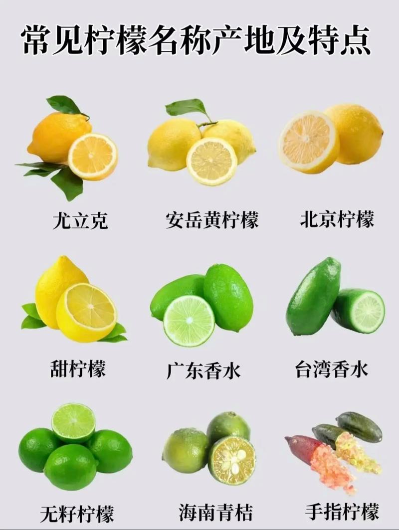 柠檬分类问题数据