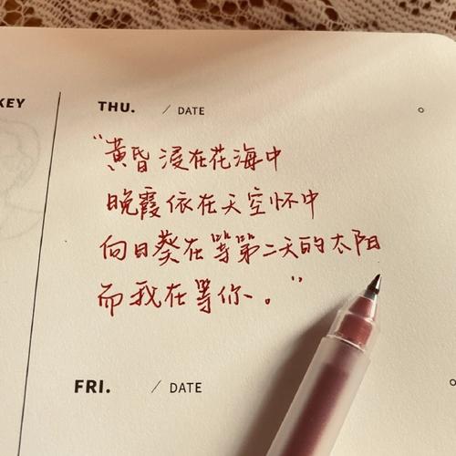 手写文字擦除数据集