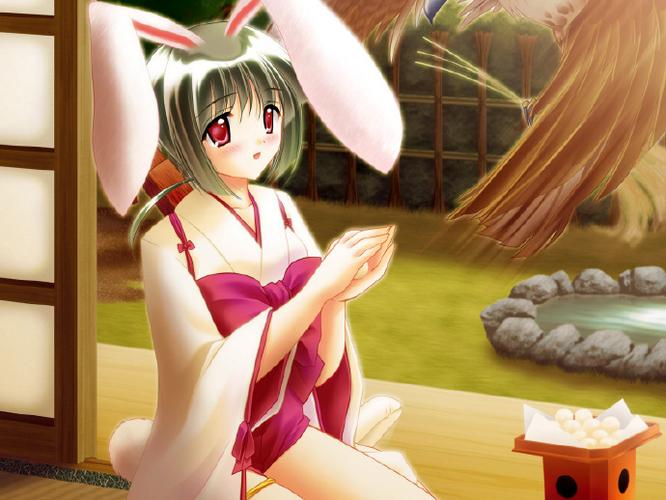 动漫女性头像数据集