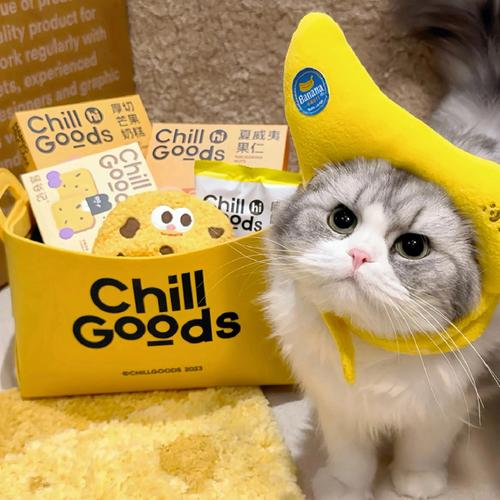 猫类数据集