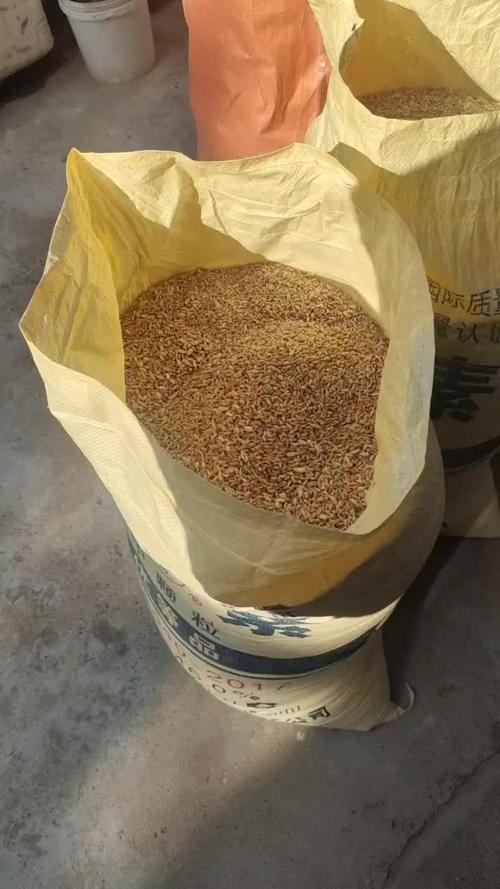 小麦不完善粒数据集