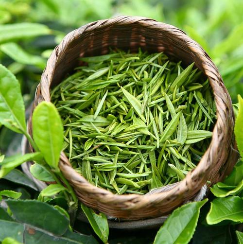 茶业数据集