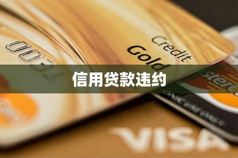 个贷违约预测数据集5