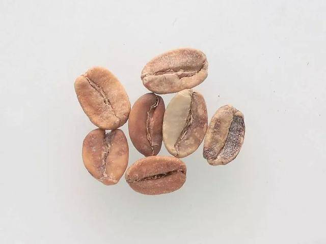 咖啡豆缺陷检测数据集