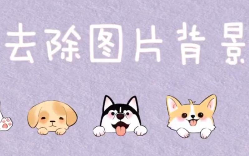 result_try数据集