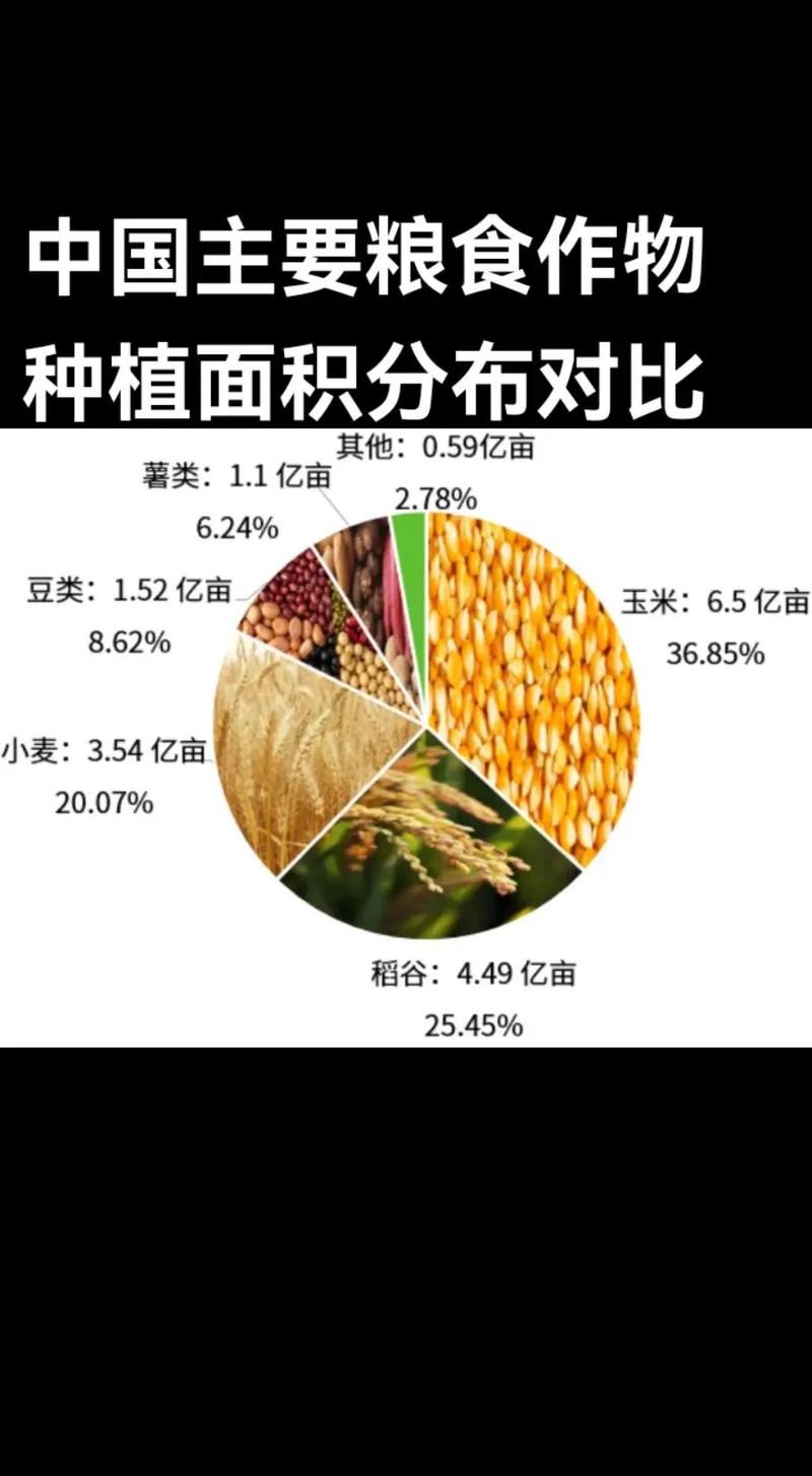 农作物数据集