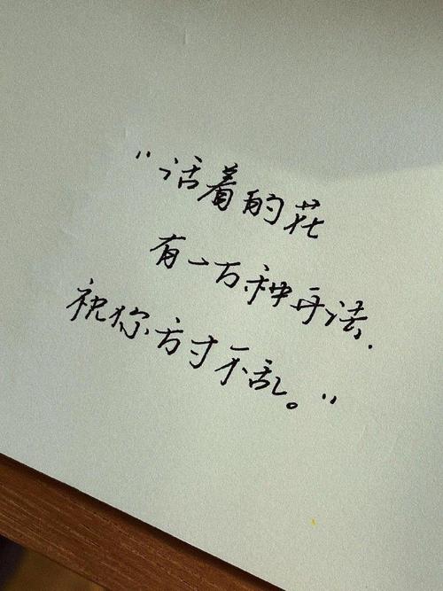 通用去除手写字符_fianl_train数据集