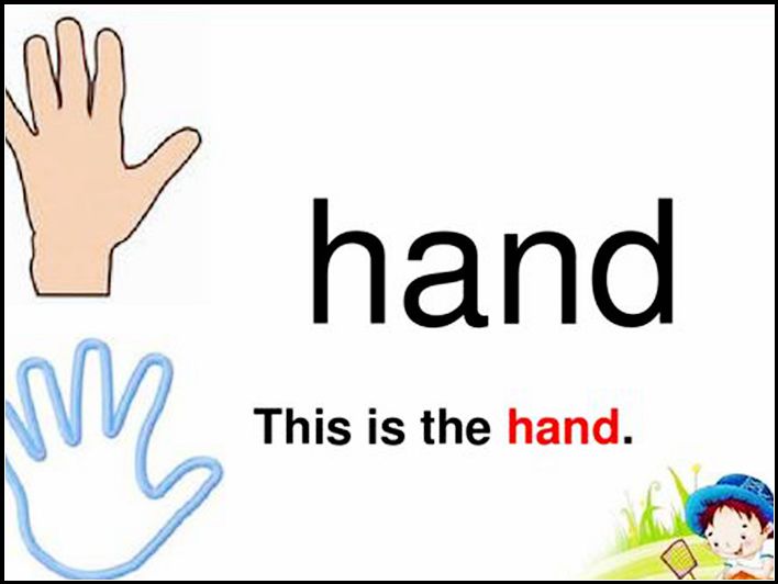 handcoco3数据集