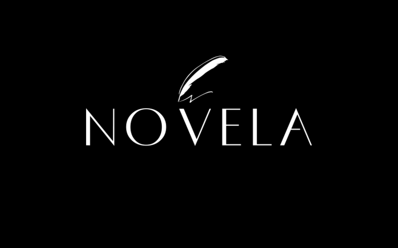 novelai各种pd模型数据集