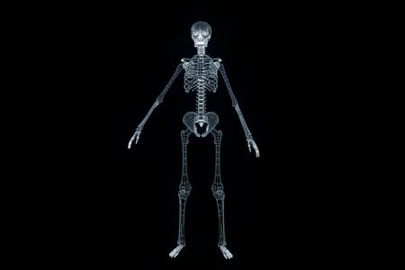 Pixel_SkelNet数据集