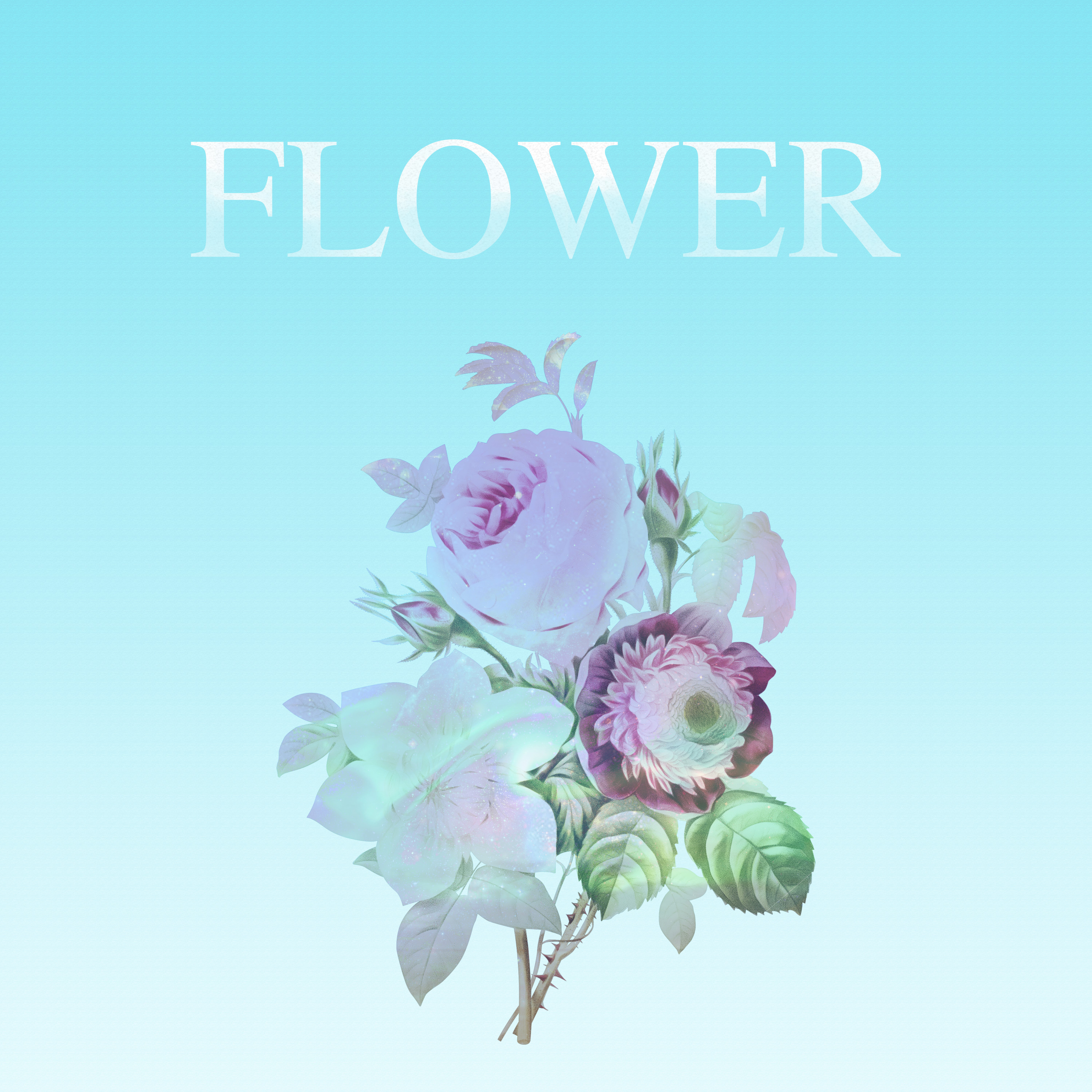 OxfordFlowers全102类数据集