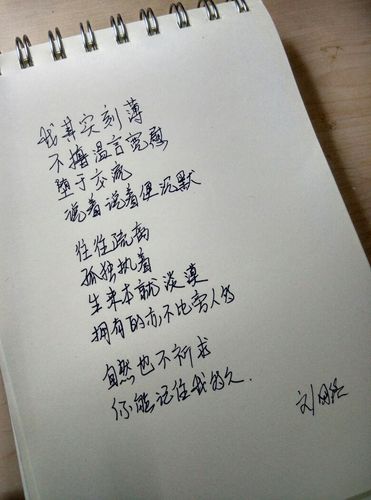 长文本手写数据
