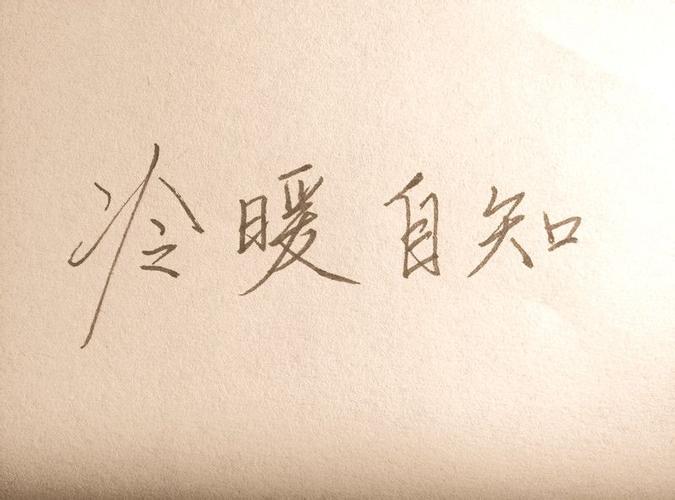 MINIS手写字体数据集