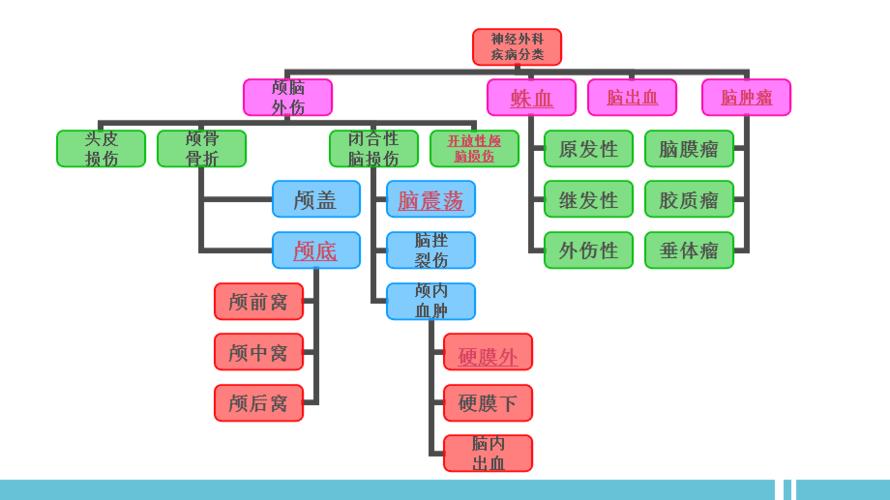 有病无病二分类-new数据集2