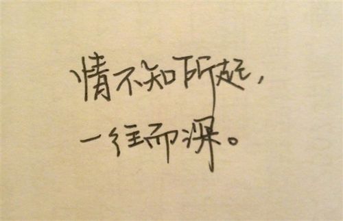 Mnist手写字数据集