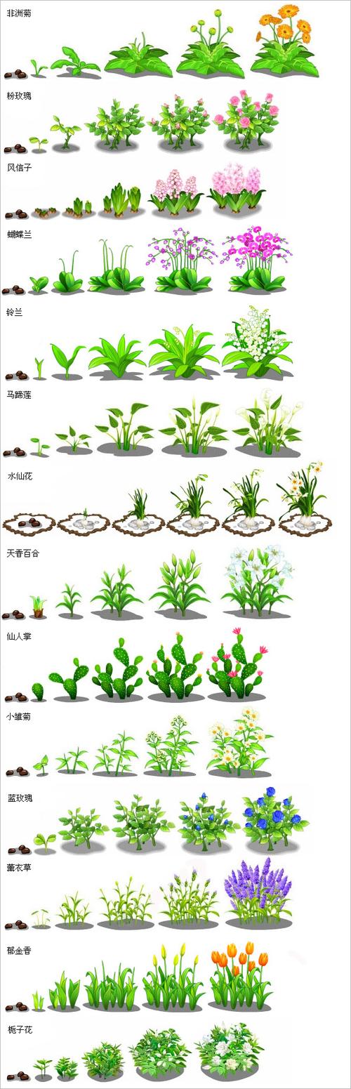 中国农业大学_农作物生长情况识别挑战赛_数据集
