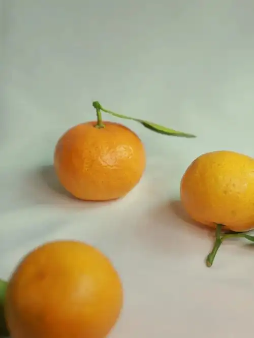 静物数据