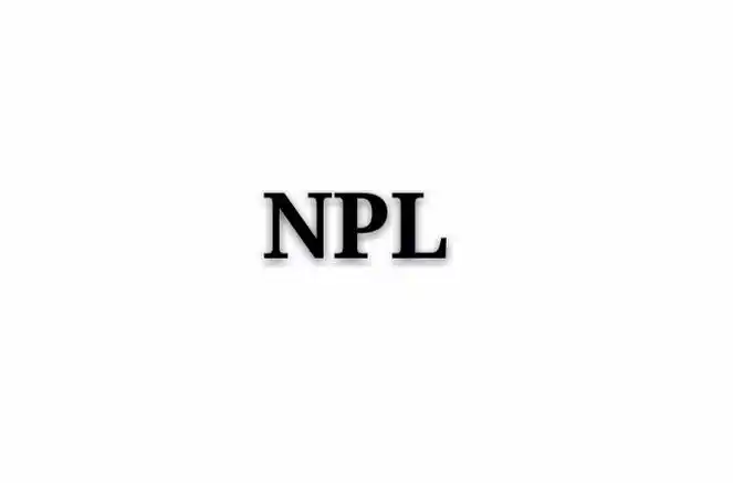 npl数据集