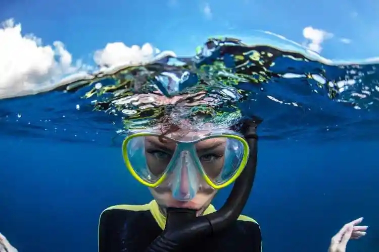  -the great barrier reef 比赛数据集